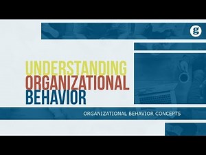 Understanding Organizational Behavior