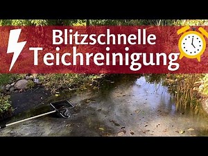 Pond cleaning in just a few minutes: the ultimate detergent for sludge