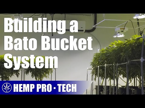 Putting Together a Basic Bato Bucket (Dutch Bucket) Hydroponic Build