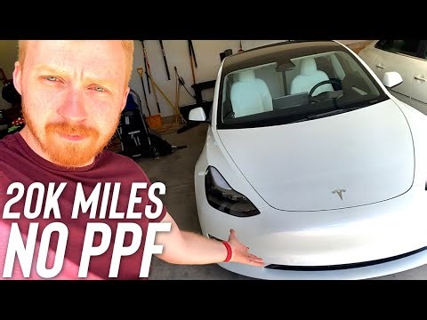 Should YOU Get PPF On Teslas?