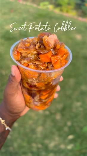 Do you like pie crust or cake crust in your cobbler? | Busy Baking