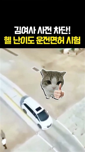 김여사 사전 차단! 헬 난이도 운전면허 시험
