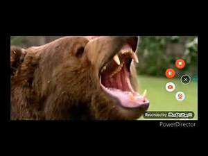 Shark Week Scream Crossover 2est