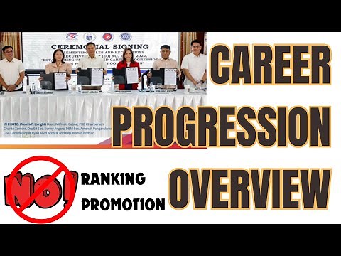 CAREER PROGRESSION OVERVIEW