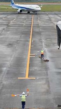 ［鹿児島空港］ANA Airbus A321-272N（JA149A）スポットイン！！／Kagoshima Airport