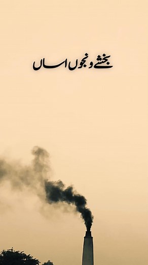 450K views · 40K reactions | MisterAzaad on Reels | Facebook