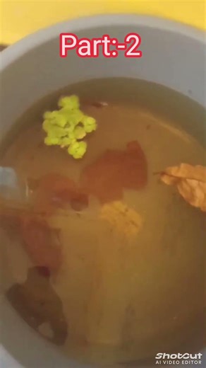 Betta fish breeding part:-2 #bettabreeding #bettafish #fishbreeding #sound #fish