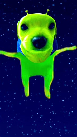 #humor #parati #memes #toyota #ferty