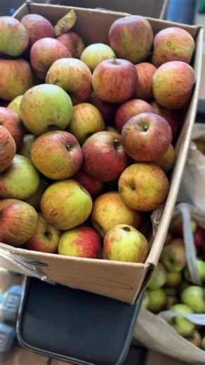 13K views · 387 reactions | Here’s 5 EASY ways to preserve apples to...