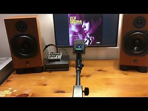 ATC SCM 11 Sound Test (Vocal, Acoustic Guitar)