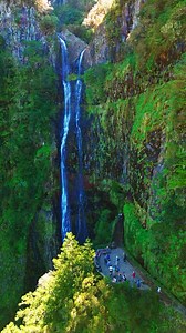 Behold the majesty of Risco Waterfall like never before 🌿 Located in Levada das 25 Fontes, this natural wonder is a must-visit for everyone. Come along on an unforgettable journey with us to behold the splendor of this iconic waterfall - book now! #hikingmadeira #hikingadventures #hikingram #trekking #madeiraadventure #naturelovers #mountain #wanderlust #visitmadeira #madeiraisland #discovermadeira #exploremadeira #levada #levadamadeira #waterfall | Madeira Adventure Kingdom