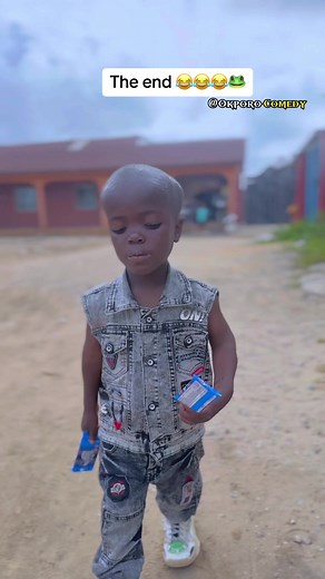 Funny Frog Videos Compilation