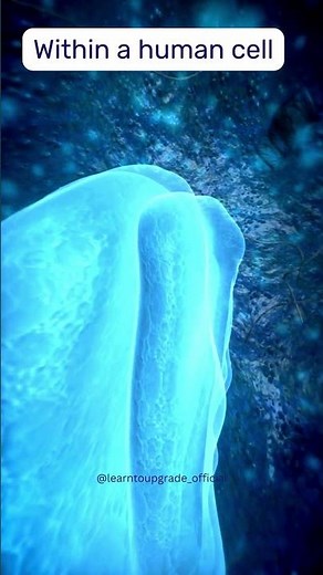 Inside a human cell #cellbiology #humancell