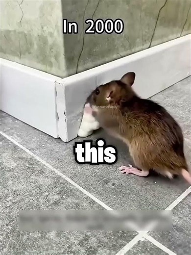 #gachatweening