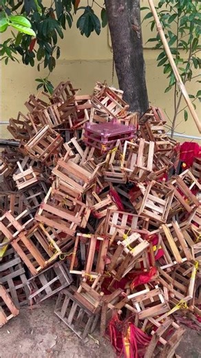 Kulathupuzha Sree dharma Sastha temple