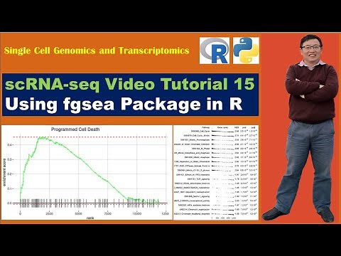 Seurat Video Tutorials--Video 15: Using fgsea Package in R