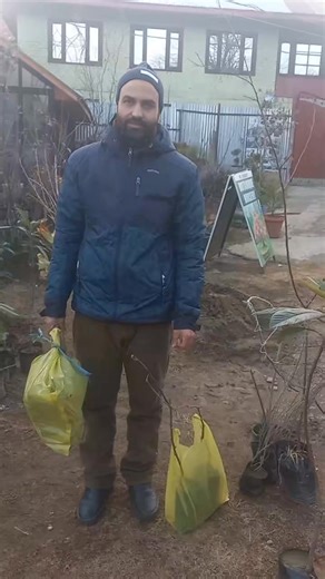 Contact on 91496 05771 #HighDensityOrchards #kashmirvalley #Kupwara #civilsociety #Vilgam #kralapore #lolab # | Botanique Nursery