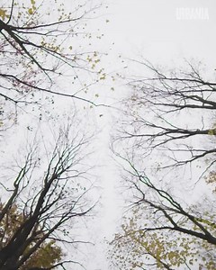 50K views · 1.2K reactions | À chaque jour, un peu plus écoresponsable. Rencontrez Jason, la troisième génération d'éleveurs de poulets. Merci à URBANIA de l'avoir rencontré. | Le Poulet du Québec | Facebook