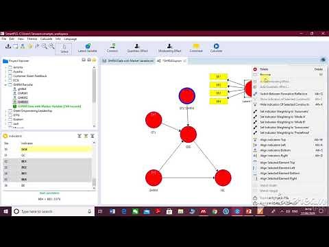 Marker Variable in Smart-PLS