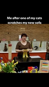 9.2K views · 12 reactions | This is why we can't have nice things.  #TrophyCats on discovery+ | discovery+ | Facebook