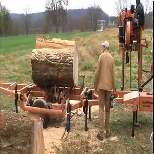 A Large Log Of Pecans With A Chainsaw - Magic Wood 14 | Magic To Go