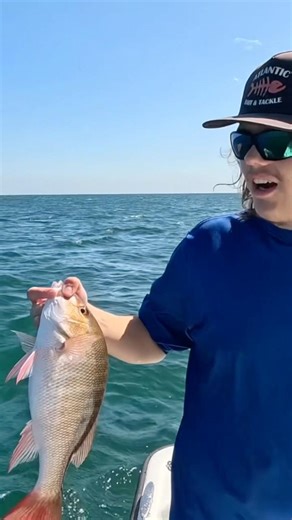 Short MUTTON SNAPPER Catch and Release 😎🎣 #offshorefishing #snapper #shortsfeed