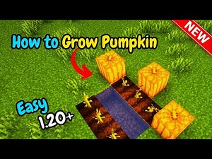 How to grow a pumpkin in minecraft | Updated