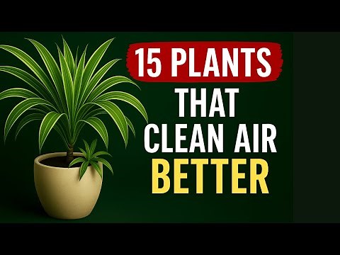 15 Plants That Clean Indoor Air BETTER Than Filters (NASA-Backed!)
