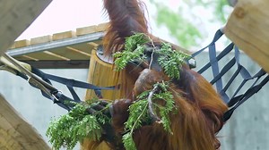 14K views · 246 reactions | Ever wonder what being a member of our...