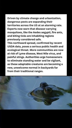 Invasion Alert Dangerous Pests Are Spreading to New States #wildlife #facts #shorts