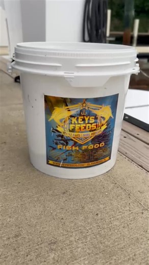 🎣 @islandbaitco in Key Largo showing us how it’s done! Thanks for sending in this awesome video using @keysfeeds Feeds — the bait couldn’t resist. From the dock to the deep — if it swims, LET ’EM EAT! 🐟🔥 #keysfeeds #betterbaits #morehookups #islandbaitcompany #keylargofishing #floridakeysfishing #baitlife #bait #livebait #floridakeys #letemeat #feedthebaits #keysstrong #supportlocal #fishon #fishfeeding | Keys Feeds