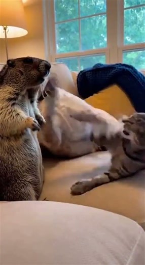 Realistic Hair Movement Capture Techniques Explained