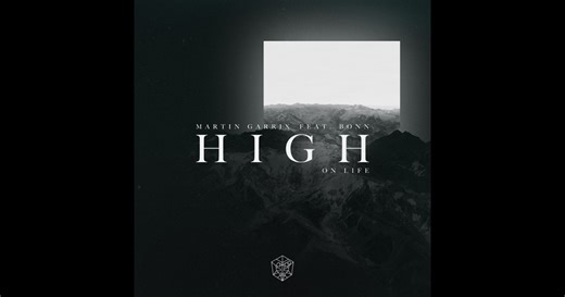 High on Life (feat. Bonn) - Single by Martin Garrix on Apple Music