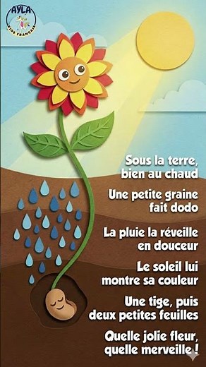 The Seed That Grows 🌱 #nurseryrhyme #children