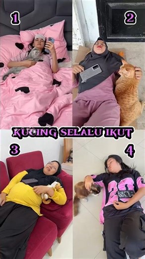 Compilation || The cat won't leave me alone!! #shorts #funny