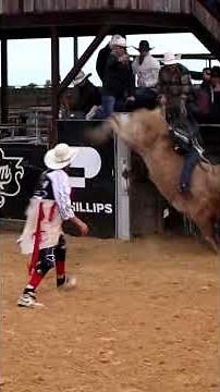 Big Rides at BuckTownxv Built For Bullriding #bullriding