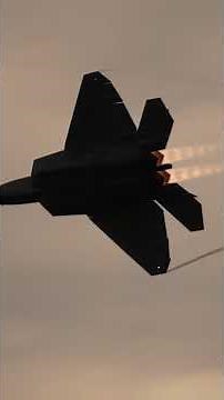 Raptors Over Michigan