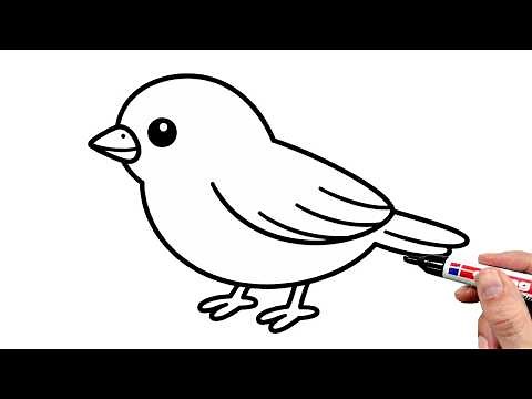 How to Draw a Sparrow