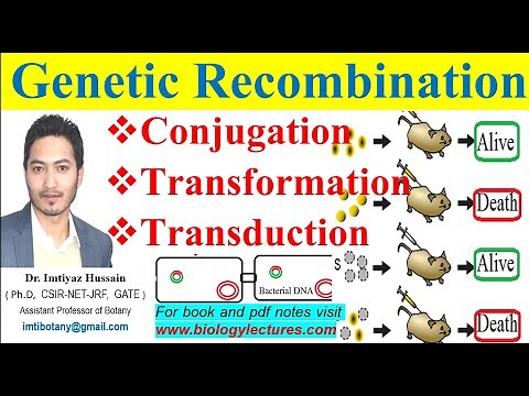 Conjugation, transformation, transduction, Genetic recombination or Sexual reproduction in Bacteria