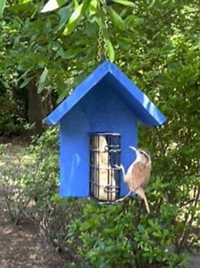 This Suet Bird Feeder Works! Easy to Fill, Easy to Clean - Feed the Birds With This Handcrafted, Time-tested Suet Feeder! - Etsy