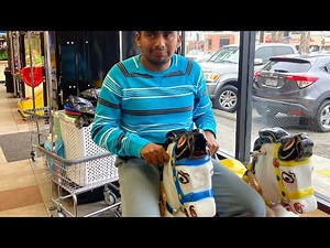 Me riding 1980’s 2 mini horse kiddie ride part 1(Eletech ride)