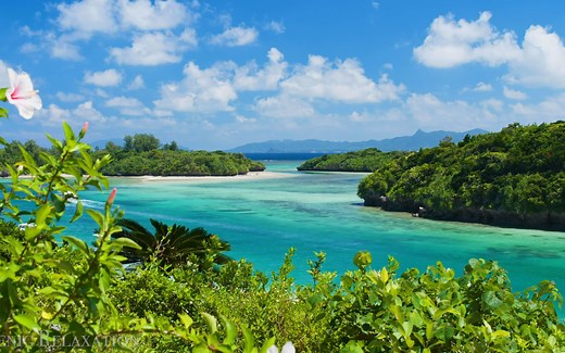 【4K纯享】 日本绝美风景