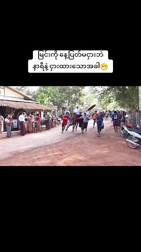 original sound - Mg Myo Min - 시니어💭シニア💭(စီနီယာ)💭🇲🇾 ပါဝင်သည့် 🥰𝓤 ❤️𝓨𝓮 ❤️𝓝𝓐𝓤𝓝𝓖😍😍 (@u.ye.naung3) ၏ ဗီဒီယိုများ