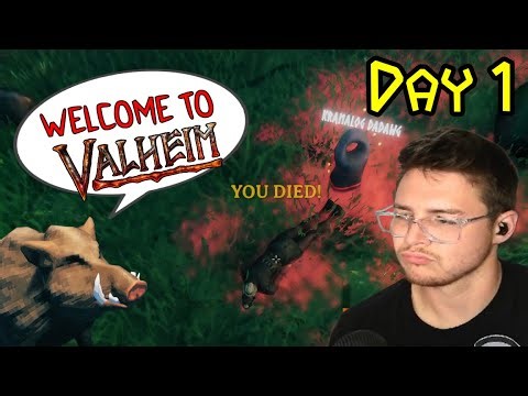 First Time In Valhiem - Day 1