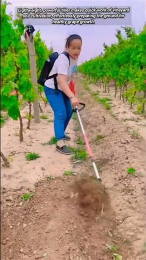 The perfect small tiller for easy, efficient grapevine soil management.