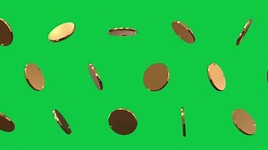 3d Gold Coin Falling Rotating Loop Stock Footage Video (100% Royalty-free) 3511019213 | Shutterstock