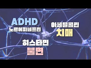 우리 뇌에 중요한 신경전달물질, 노르에피네프린 히스타민 아세틸콜린