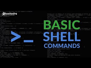 0x00 Shell basics