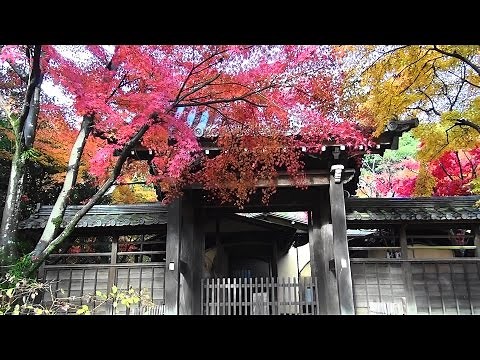隠れた名所、本土寺（千葉県松戸市）の絶景紅葉 2014-11-30