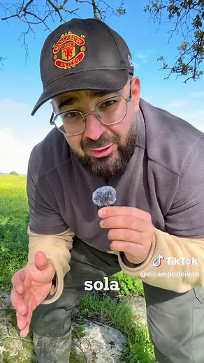 El cencerro: guía de la vaca sabia en el campo